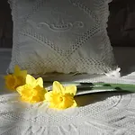 Il Borghetto Appartement *